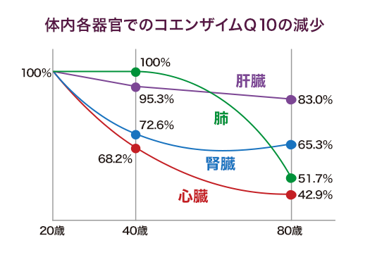 体内各器官でのコエンザイムQ10の減少