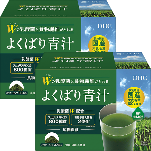 【大感謝祭WEB限定セール】Wの乳酸菌と食物繊維がとれる よくばり青汁&nbsp;2個セット