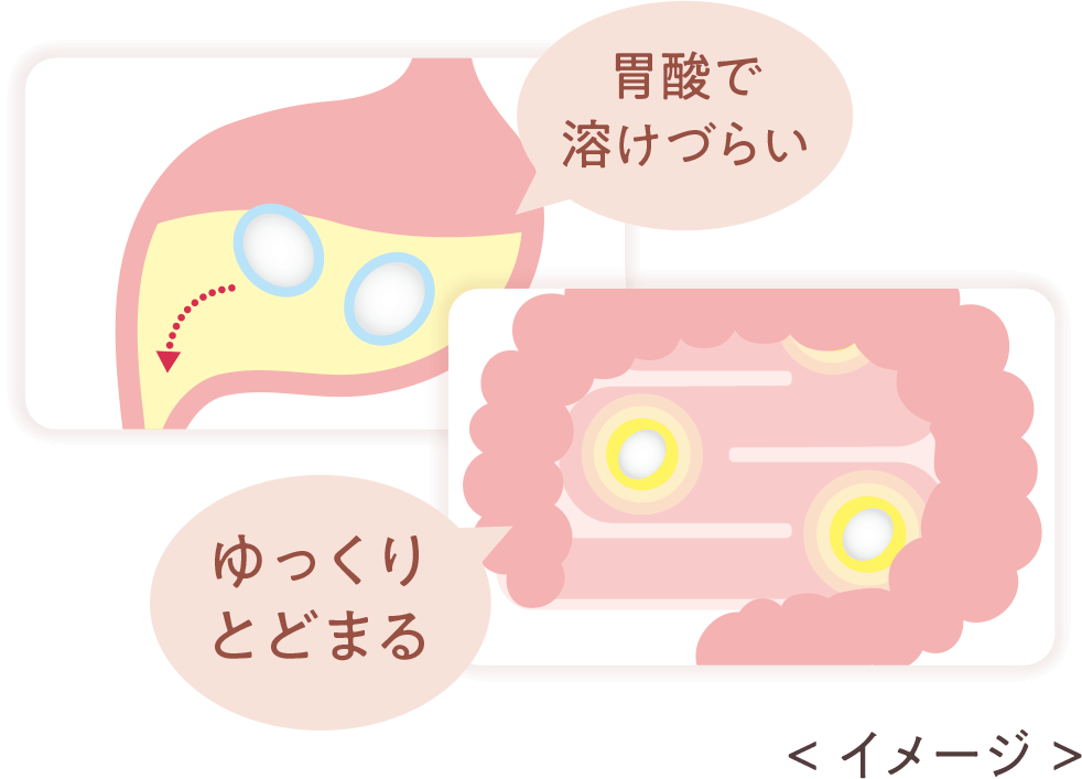胃酸で溶けづらく、ゆっくりとどまる
