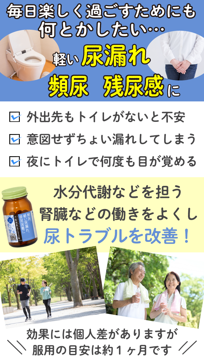 DHC漢方 八味地黄丸（はちみじおうがん）エキス錠