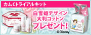 傫ȃRbg100v[g